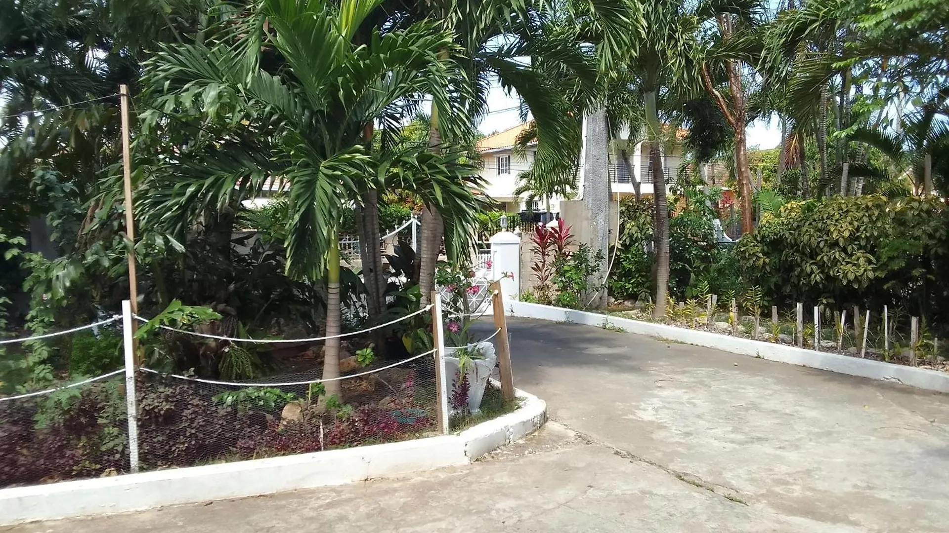 בית הארחה Saint Maryʼs The Dream Nest At Csompo Silver Manor
